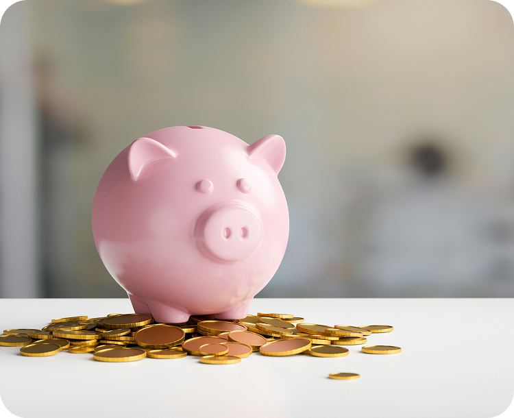 Graphic on Premium Reduction: Financial Relief for Health Insurance Premiums for Expats